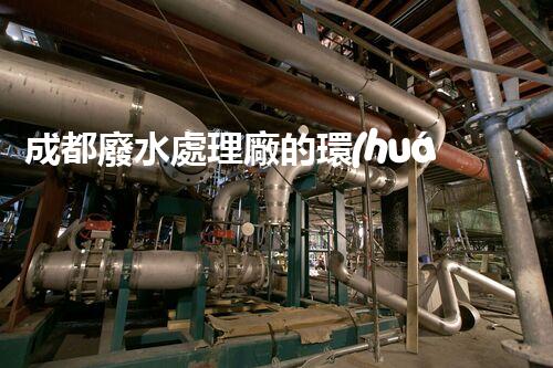 成都廢水處理廠的環(huán)保奇觀：揭秘水質(zhì)凈化的背后？